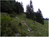 Poljana (Završnica) - Hochstuhl/Stol